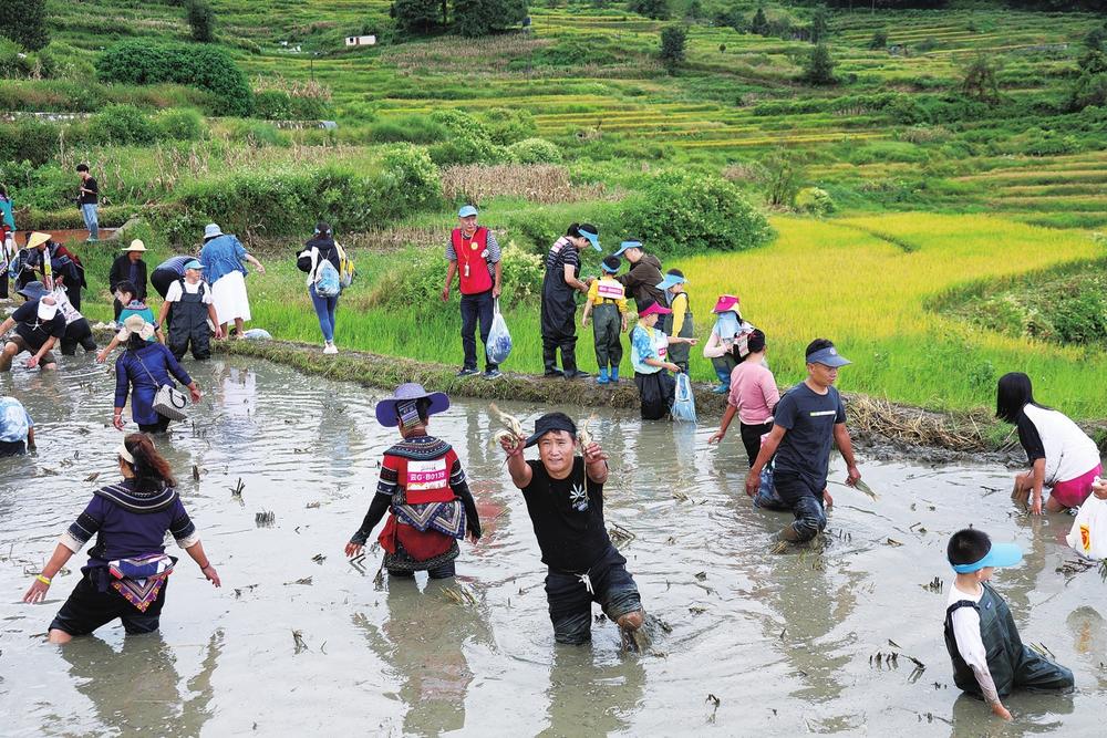 统技法接连, 人气
